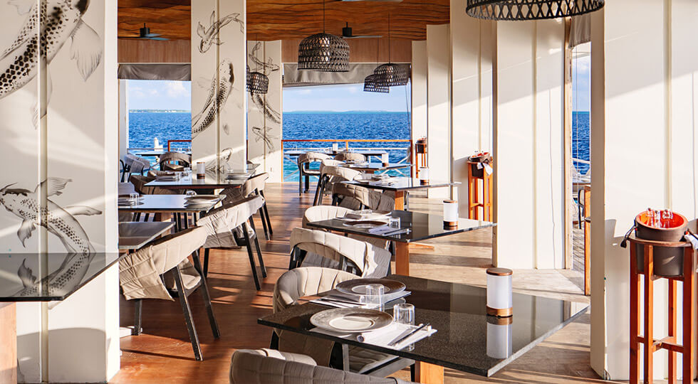 Amilla Beach Villa Residences - Feeling Koi